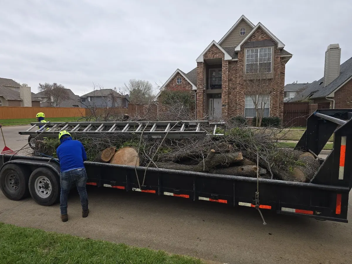Expert Tree Fertilization with proper safety equipment in Monrovia